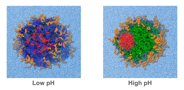 Advancing lipid nanoparticle development with structure-based modeling platform and services